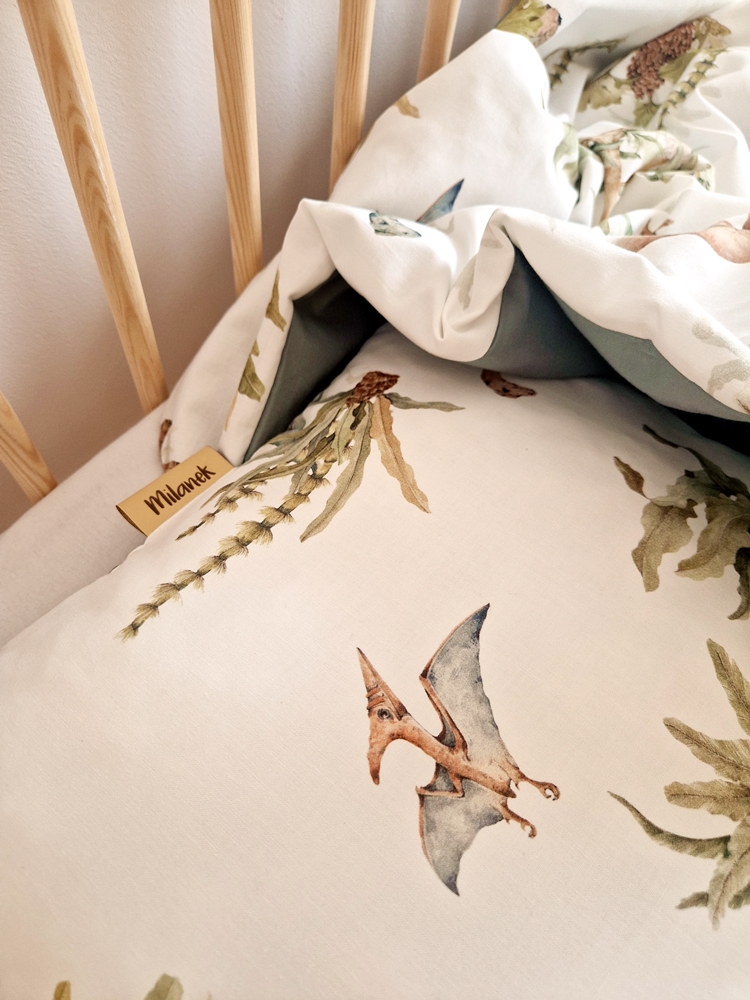 ZESTAWY przedszkolaka DINO premium